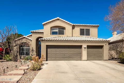 Desert Broom, PHOENIX, AZ 85048