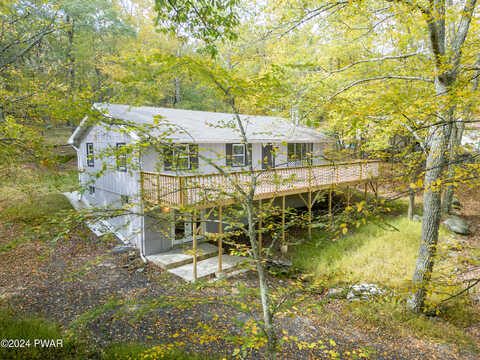 Cardinal, BUSHKILL, PA 18324