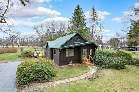 Buttercup, BUTLER, PA 16001