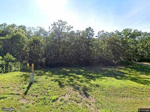 219Th, NEVIS, MN 56467