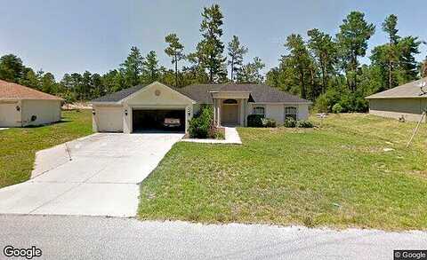 Grass, HOMOSASSA, FL 34446