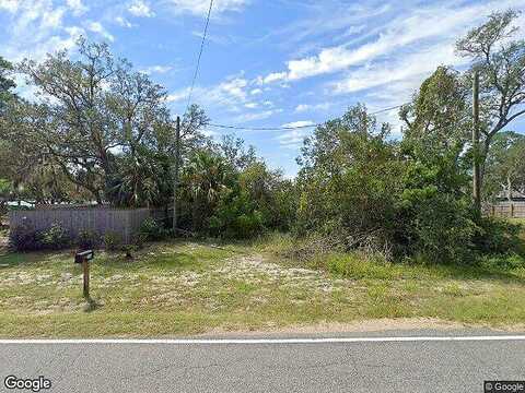 Alligator, PANACEA, FL 32346