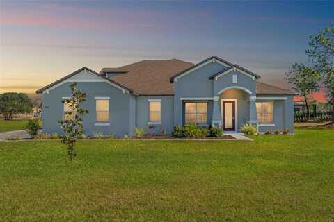 Pantera, WEEKI WACHEE, FL 34613