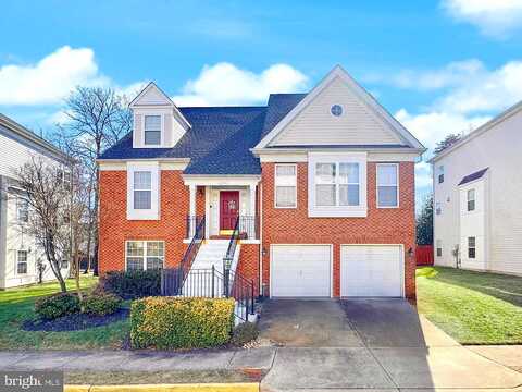 Sibel, ALEXANDRIA, VA 22310