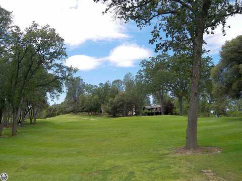 Dyer, GROVELAND, CA 95321