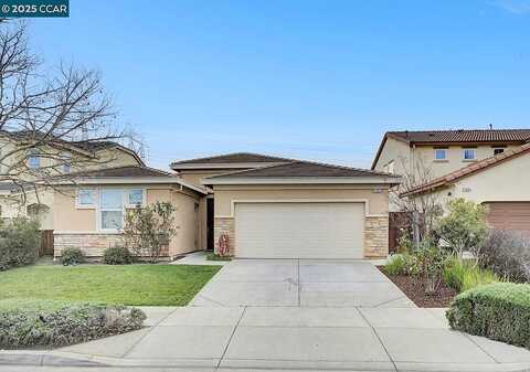 Sycamore, OAKLEY, CA 94561