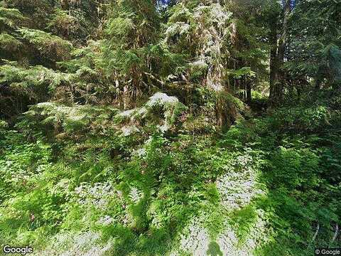 Mountain Loop, GRANITE FALLS, WA 98252