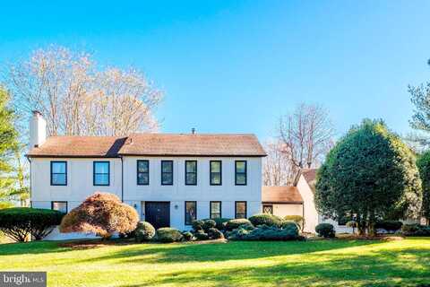 Brian Jac, GREAT FALLS, VA 22066
