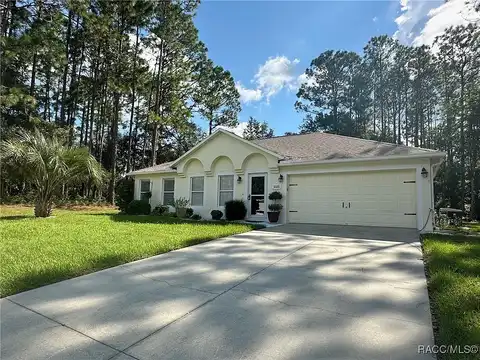 Tiny Lily, CITRUS SPRINGS, FL 34434