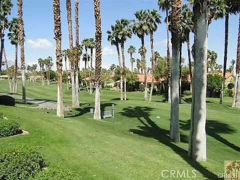 Daffodil, PALM DESERT, CA 92211