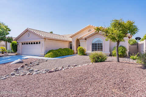 Cat Claw, TUCSON, AZ 85739