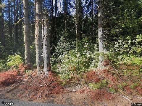 Lewis River, ARIEL, WA 98603