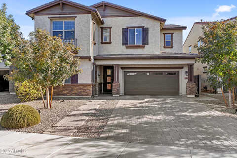 Abalone, GILBERT, AZ 85233