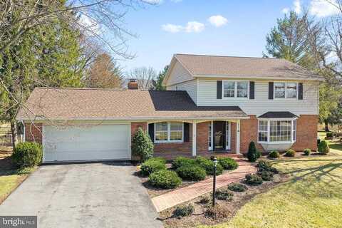 Eagle, WOODSTOCK, VA 22664