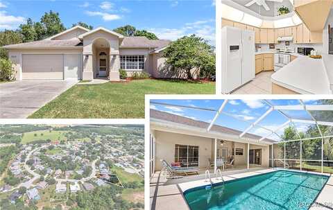 Turkey Pine, LECANTO, FL 34461