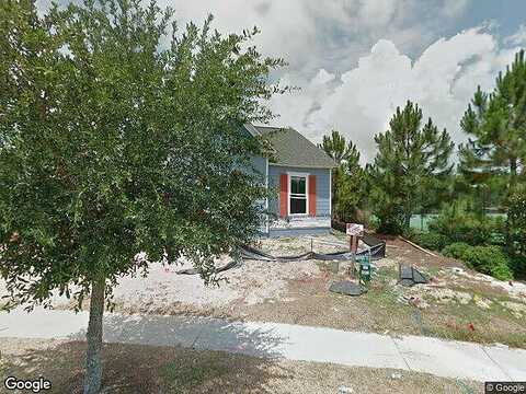 Turtle, PANAMA CITY BEACH, FL 32413