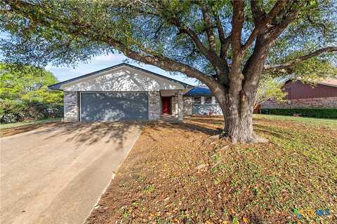 Kangaroo, KILLEEN, TX 76543