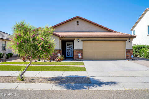 Fetlock, SURPRISE, AZ 85387