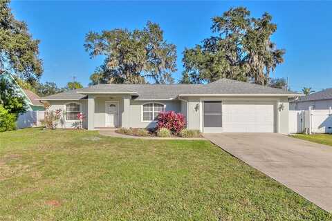 Queen Palm, EDGEWATER, FL 32132