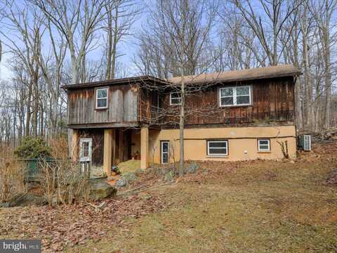 Old Log, LINDEN, VA 22642