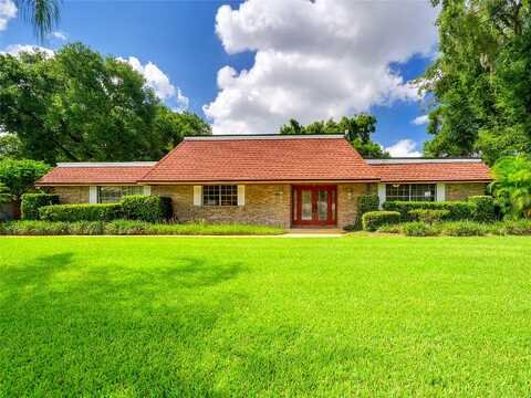 Pineapple, ALTAMONTE SPRINGS, FL 32714