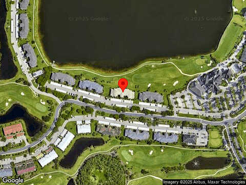 Washingtonia Palm, FORT MYERS, FL 33966