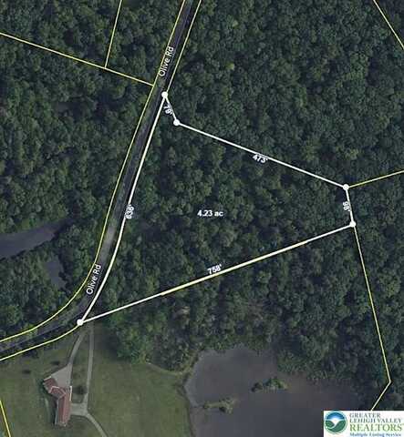Olive Road, Lehigh Twp, PA 18038