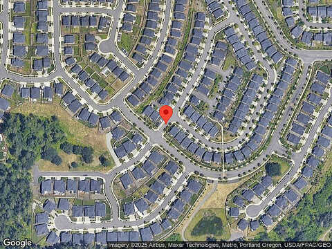 Spruce, CAMAS, WA 98607
