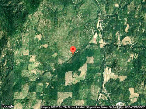 Hawks, COLVILLE, WA 99114