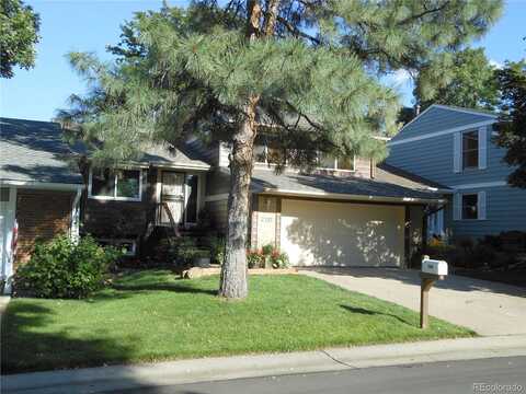 Cedar, LAKEWOOD, CO 80226