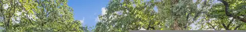 Lake Crest, AZLE, TX 76020