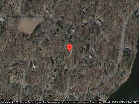 Dogwood, DINGMANS FERRY, PA 18328