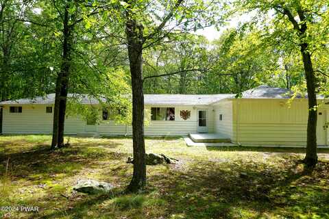 Dogwood, DINGMANS FERRY, PA 18328