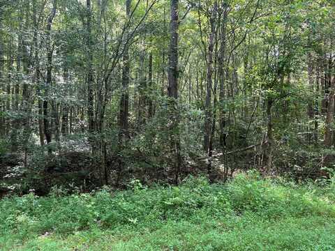 441 SYCAMORE, Camden, TN 38320