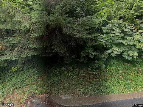 Forest, ISSAQUAH, WA 98027