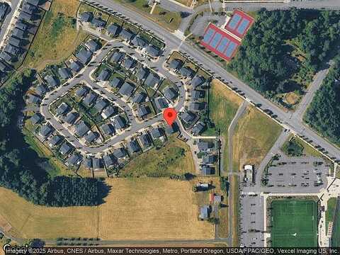 Red Tail, RIDGEFIELD, WA 98642
