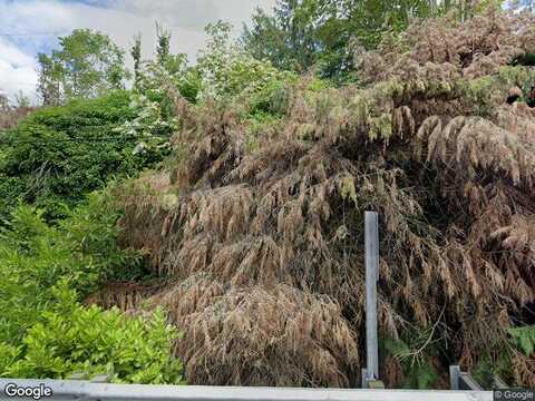Overlake, MEDINA, WA 98039