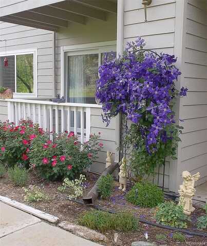 Twin Lakes, BOULDER, CO 80301