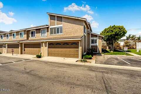 Bahia, SANTA PAULA, CA 93060