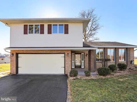 Walnut, MONT ALTO, PA 17237
