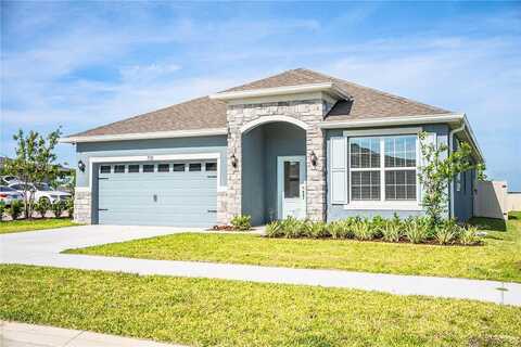 Griffon, LAKE ALFRED, FL 33850