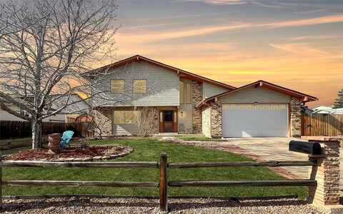 Yank, LAKEWOOD, CO 80228