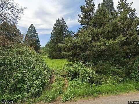 Hans Nagel, WASHOUGAL, WA 98671
