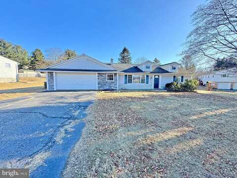Red Maple, MOUNTAIN TOP, PA 18707