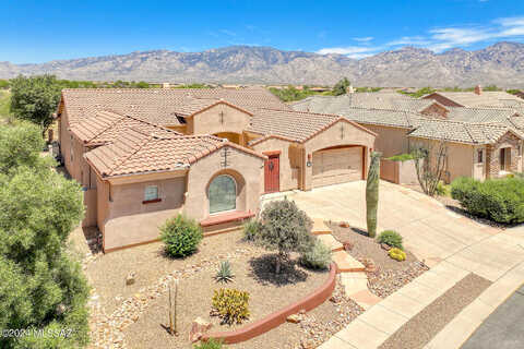 Tessali, TUCSON, AZ 85755