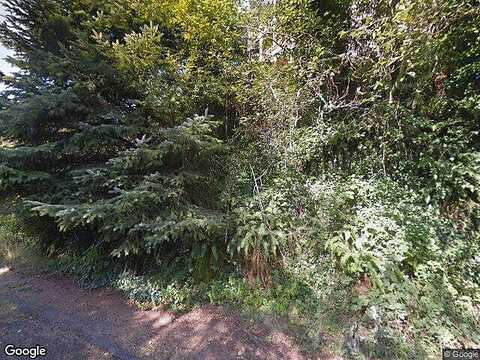 Willows, SEAVIEW, WA 98644