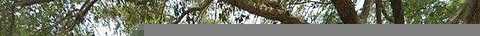 Island Green, PALM BAY, FL 32905