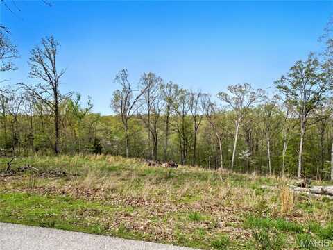 565 Huntington Trails Drive, Festus, MO 63028