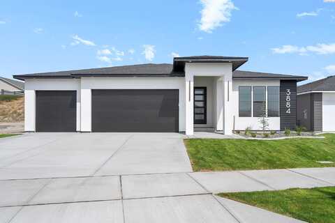 Corvina, RICHLAND, WA 99352