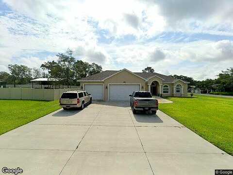 Kitty, WEEKI WACHEE, FL 34614